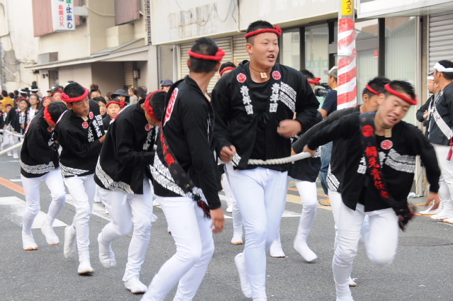 岸和田だんじり祭り 平成25年度 八木地区 荒木町
