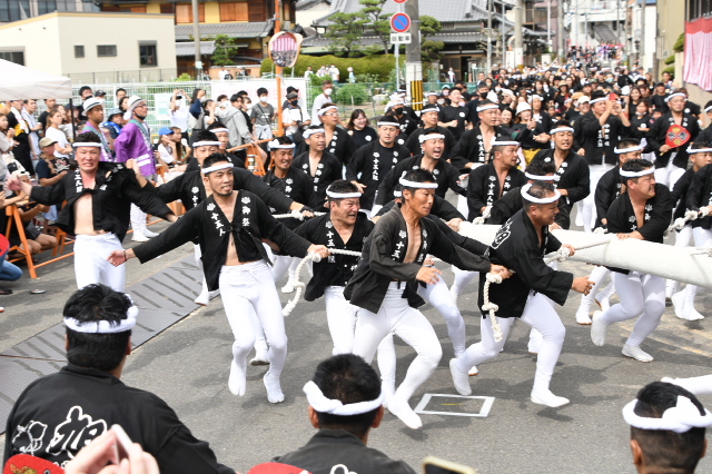 岸和田だんじり祭り 令和4年度 春木地区 春木旭町